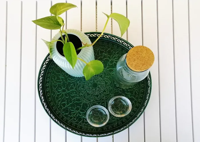 Apartment Holihome Curtis *