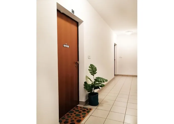 Apartment Holihome Curtis *